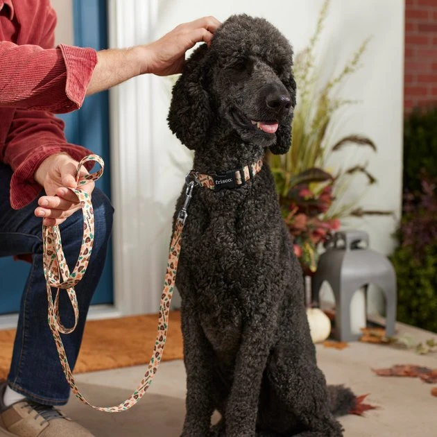 Frisco Thanksgiving Turkey Dog Leash 5 Frisco Thanksgiving Turkey Dog Leash - Image 3