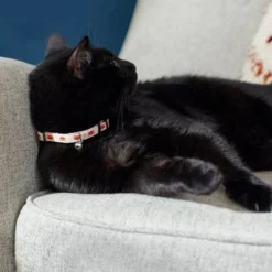 Frisco Fantastic Foxes Cat Collar, 8-12 Inches, 3/8-in wide -FRISCO Sales 291318 PT3. SY630 V1629771142