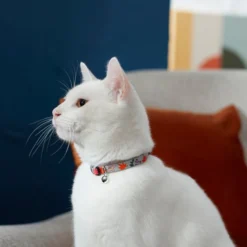 Frisco Mountain Leaves Cat Collar, 8-12 Inches, 3/8-in wide -FRISCO Sales 291320 PT3. SY630 V1629771203