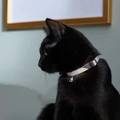 Frisco Purple Colorblock Cat Collar, 8-12 Inches, 3/8-in wide -FRISCO Sales 291327 PT3. SY630 V1629771214