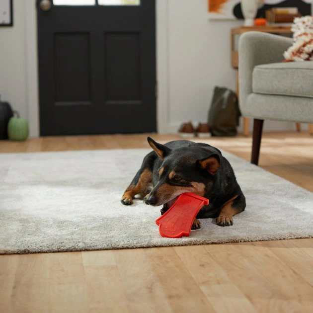 Frisco Nylon Headstone Halloween Dog Chew Toy, Peanut Butter Flavor, Medium 5 Frisco Nylon Headstone Halloween Dog Chew Toy, Peanut Butter Flavor, Medium - Image 3