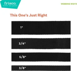 Frisco Monochromatic Dog Collar -FRISCO Sales 291556 PT4. SY630 V1635791188