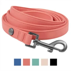 Frisco Monochromatic Dog Leash