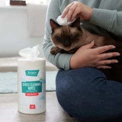 Frisco Gentle Cleaning Waterless Grooming Wipes for Puppies & Kittens, Green Tea Scent -FRISCO Sales 291592 PT5. SY630 V1627306905
