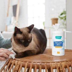 Frisco Deodorizing Paw & Bum Waterless Grooming Wipes for Dogs & Cats -FRISCO Sales 291593 PT5. SY630 V1627653728