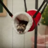 Frisco Small Pet Hanging Tunnel -FRISCO Sales 291737 MAIN. SY630 V1631662783