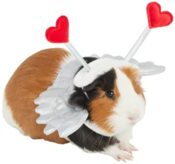 Frisco Guinea Pig Cupid Costume