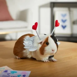 Frisco Guinea Pig Cupid Costume -FRISCO Sales 292198 PT8. SY630 V1637361404