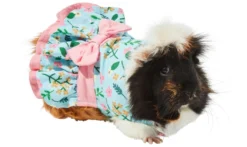 Frisco Guinea Pig Floral Dress