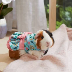 Frisco Guinea Pig Floral Dress -FRISCO Sales 292200 PT4. SY630 V1641540431