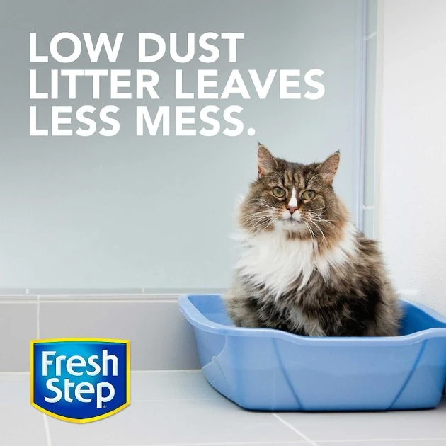 Frisco||Fresh Step Frisco Cat Tracks Butterfly Toy + Fresh Step Multi-Cat Scented Clumping Clay Cat Litter 8 Frisco||Fresh Step Frisco Cat Tracks Butterfly Toy + Fresh Step Multi-Cat Scented Clumping Clay Cat Litter - Image 6