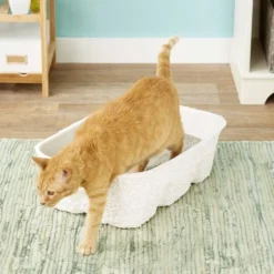 Nature's Miracle||Frisco Nature's Miracle Disposable Litter Box + Frisco Summer Clean Scented Non-Clumping Crystal Cat Litter -FRISCO Sales 293376 PT3. SY630 V1619994445