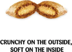 Temptations||Frisco Temptations Mixups Catnip Fever Treats + Frisco Bird Teaser with Feathers Cat Toy, Blue -FRISCO Sales 293912 PT3. SY630 V1620092253