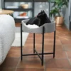 Frisco Modern Elevated Wrought Iron Cat Bed with Eyelash Cushion 2 Frisco Modern Elevated Wrought Iron Cat Bed with Eyelash Cushion -FRISCO Sales 296671 MAIN. SY630 V1633727683