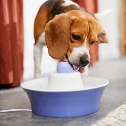 Frisco Ceramic Whale Dog & Cat Water Fountain, Blue, 64-oz -FRISCO Sales 297220 PT4. SY630 V1633549604