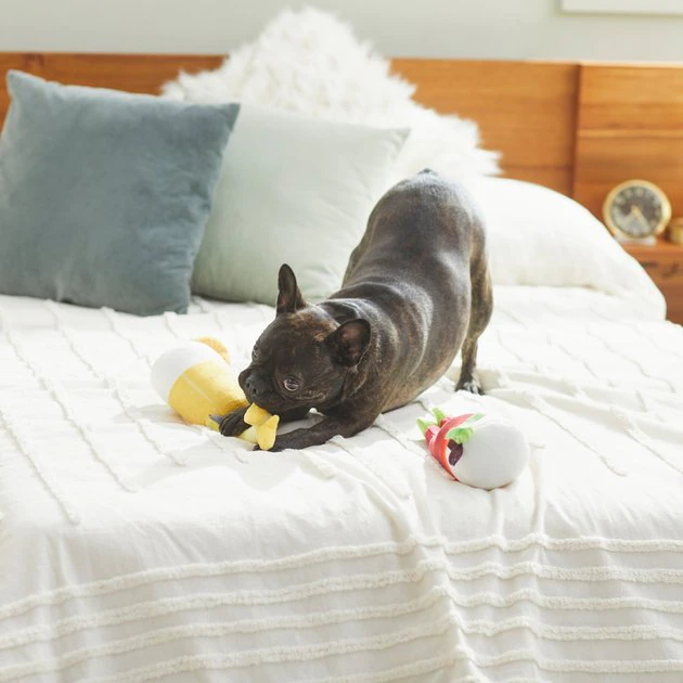 Frisco Brunch Bottomless Mimosas Plush Squeaky Dog Toy, 2 count 5 Frisco Brunch Bottomless Mimosas Plush Squeaky Dog Toy, 2 count - Image 3