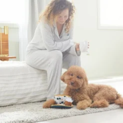 Frisco Brunch Teacup Plush Squeaky Dog Toy -FRISCO Sales 297232 PT3. SY630 V1642087957