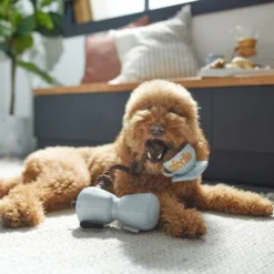 Frisco Brunch Coffee Pitcher Plush with Rope Squeaky Dog Toy -FRISCO Sales 297234 PT2. SY630 V1642088693