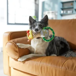 Frisco Brunch Breakfast Burrito Plush with Rope Squeaky Dog Toy -FRISCO Sales 297238 PT2. SY630 V1642088670