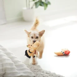 Frisco Brunch French Croissant & Baguette Plush Squeaky Dog Toy, 2 count -FRISCO Sales 297244 PT2. SY630 V1642089104