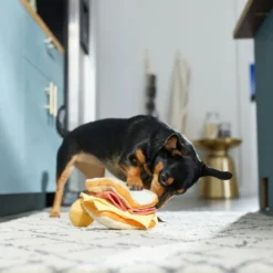 Frisco Brunch Egg in Hole 2-in-1 Plush Squeaky Dog Toy 9 Frisco Brunch Egg in Hole 2-in-1 Plush Squeaky Dog Toy -FRISCO Sales 297246 PT3. SY630 V1642089088