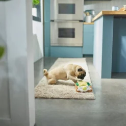 Frisco Brunch Avocado Toast Plush Squeaky Dog Toy -FRISCO Sales 297252 PT2. SY630 V1642088891