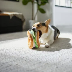 Frisco Brunch Bagel with Lox Plush Squeaky Dog Toy 7 Frisco Brunch Bagel with Lox Plush Squeaky Dog Toy -FRISCO Sales 297256 PT2. SY630 V1642089185