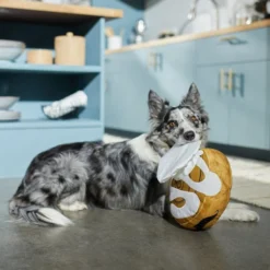 Frisco Brunch Cinnamon Roll Jumbo Plush Squeaky Dog Toy -FRISCO Sales 297260 PT2. SY630 V1642089012