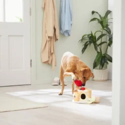 Frisco Brunch Pancake Hide & Seek Puzzle Plush Squeaky Dog Toy 9 Frisco Brunch Pancake Hide & Seek Puzzle Plush Squeaky Dog Toy -FRISCO Sales 297266 PT3. SY630 V1642087986