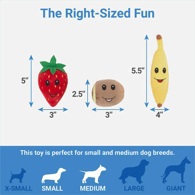 Frisco Brunch Acai Bowl Hide & Seek Puzzle Plush Squeaky Dog Toy 5 Frisco Brunch Acai Bowl Hide & Seek Puzzle Plush Squeaky Dog Toy - Image 3