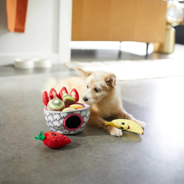 Frisco Brunch Acai Bowl Hide & Seek Puzzle Plush Squeaky Dog Toy 6 Frisco Brunch Acai Bowl Hide & Seek Puzzle Plush Squeaky Dog Toy - Image 4