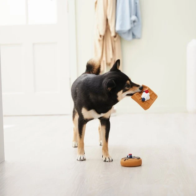 Frisco Brunch Pancake & Waffle Latex Squeaky Dog Toy, 2 count 5 Frisco Brunch Pancake & Waffle Latex Squeaky Dog Toy, 2 count - Image 3