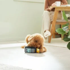 Frisco Brunch Credit Card & Machine Plush Squeaky Dog Toy -FRISCO Sales 297274 PT2. SY630 V1642088452