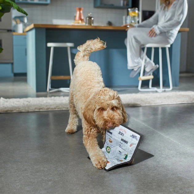 Frisco Brunch Menu Ballistic Nylon Flat Plush Squeaky Dog Toy 5 Frisco Brunch Menu Ballistic Nylon Flat Plush Squeaky Dog Toy - Image 3