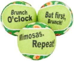 Frisco Brunch Fetch Squeaky Tennis Ball Dog Toy, 3 count