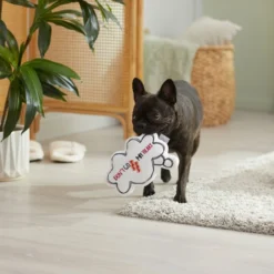 Frisco Brunch Thought Bubble Plush Squeaky Dog Toy -FRISCO Sales 297286 PT3. SY630 V1642087915