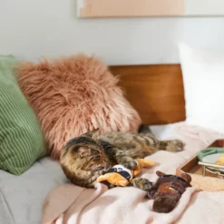 Frisco Brunch Bear & Fox Plush Cat Toy with Catnip, 2 count -FRISCO Sales 297290 PT2. SY630 V1642088814