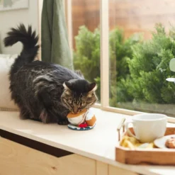 Frisco Brunch Teacup Plush Cat Toy with Catnip -FRISCO Sales 297292 PT2. SY630 V1642088843