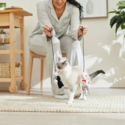 Frisco Brunch Chef & Waiter Bouncy Mouse Cat Toy with Catnip, 2 count -FRISCO Sales 297308 PT2. SY630 V1642088412