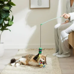 Frisco Brunch Mimosa Teaser Wand Cat Toy with Catnip -FRISCO Sales 297310 PT2. SY630 V1642088597