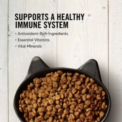 American Journey||Frisco American Journey Salmon Recipe Grain-Free Dry Cat Food, 12-lb bag + Frisco Step-In Cat Scratcher Toy with Catnip, Tropical Palms -FRISCO Sales 297820 PT3. SY630 V1623256069