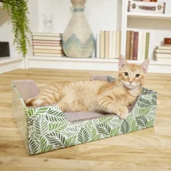 American Journey||Frisco American Journey Salmon Recipe Grain-Free Dry Cat Food, 12-lb bag + Frisco Step-In Cat Scratcher Toy with Catnip, Tropical Palms -FRISCO Sales 297820 PT6. SY630 V1623252150