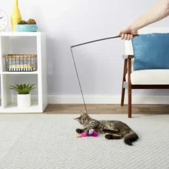 Blue Buffalo||Frisco Blue Buffalo Wilderness Chicken & Turkey Grain-Free Cat Treats, 2-oz bag + Frisco Bird Teaser with Feathers Cat Toy, Purple -FRISCO Sales 297848 PT7. SY630 V1621300350