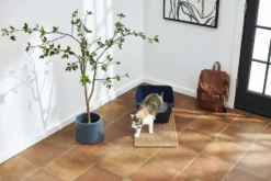 Frisco 33.5-in Sisal Cat Scratching Post, Gray + Frisco Sisal Mat, Medium -FRISCO Sales 297950 PT7. SY630 V1622740361