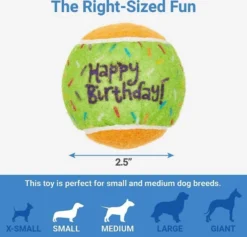 Frisco||The Lazy Dog Cookie Co. Frisco Fetch Squeaking Birthday Tennis Ball Dog Toy, 3-Pack + The Lazy Dog Cookie Co. Happy Birthday Pup-PIE Dog Treat, Boy -FRISCO Sales 297958 PT2. SY630 V1621291657
