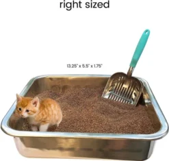 DurAnimals||Frisco DurAnimals DuraScoop Original Cat Litter Scoop, Color Varies + Frisco Flip Top Hooded Corner Cat Litter Box, Large, 21-in -FRISCO Sales 297968 PT3. SY630 V1621305450