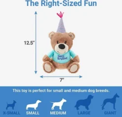 Frisco||The Lazy Dog Cookie Co. Frisco Plush Birthday Bear with Striped Hat Dog Toy + The Lazy Dog Cookie Co. Happy Birthday Pup-PIE Dog Treat, Boy -FRISCO Sales 297994 PT2. SY630 V1621299738