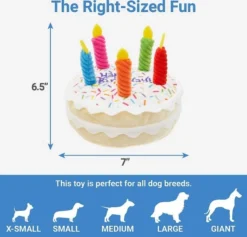 Frisco||The Lazy Dog Cookie Co. Frisco Plush Squeaking Birthday Cake Dog Toy, Small/Medium + The Lazy Dog Cookie Co. Happy Birthday Pup-PIE Dog Treat, Boy 10 Frisco||The Lazy Dog Cookie Co. Frisco Plush Squeaking Birthday Cake Dog Toy, Small/Medium + The Lazy Dog Cookie Co. Happy Birthday Pup-PIE Dog Treat, Boy -FRISCO Sales 297998 PT2. SY630 V1623253341