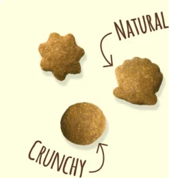 Friskies||Frisco Friskies Party Mix Natural Yums With Real Chicken Cat Treats, 6-oz bag + Frisco Melamine Dog & Cat Treat Jar with Bamboo Lid, 8 Cups 12 Friskies||Frisco Friskies Party Mix Natural Yums With Real Chicken Cat Treats, 6-oz bag + Frisco Melamine Dog & Cat Treat Jar with Bamboo Lid, 8 Cups -FRISCO Sales 298036 PT3. SY630 V1623254242