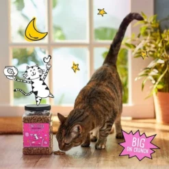 Tiny Tiger||Frisco Tiny Tiger Crunchy Bunch, Fearless Feathers and Gracious Gills, Chicken & Seafood Flavor Cat Treats, 20-oz Jar + Frisco Melamine Dog & Cat Treat Jar with Bamboo Lid, 8 Cups 12 Tiny Tiger||Frisco Tiny Tiger Crunchy Bunch, Fearless Feathers and Gracious Gills, Chicken & Seafood Flavor Cat Treats, 20-oz Jar + Frisco Melamine Dog & Cat Treat Jar with Bamboo Lid, 8 Cups -FRISCO Sales 298586 PT3. SY630 V1623202356